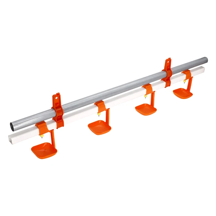 chicken drinker for poultry farm equipment in chicken coop shed with automatic feeder and drinker system