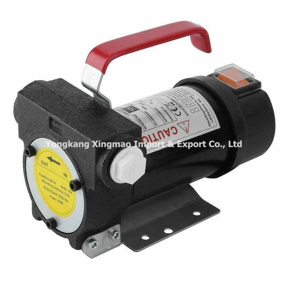 New type pumping unit small portable diesel fuel transfer pump DC12v/24v stainless steel  oil pump