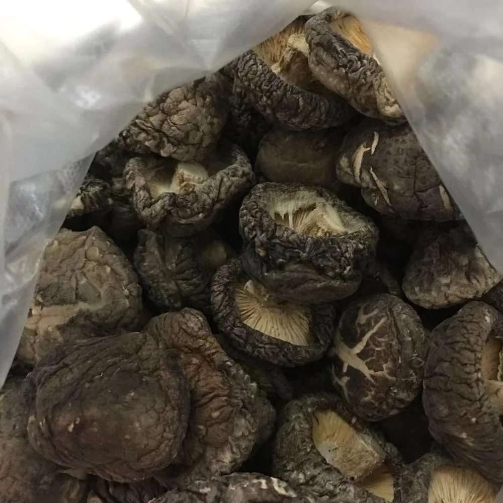 Best price shiitake mushroom dried shiitake
