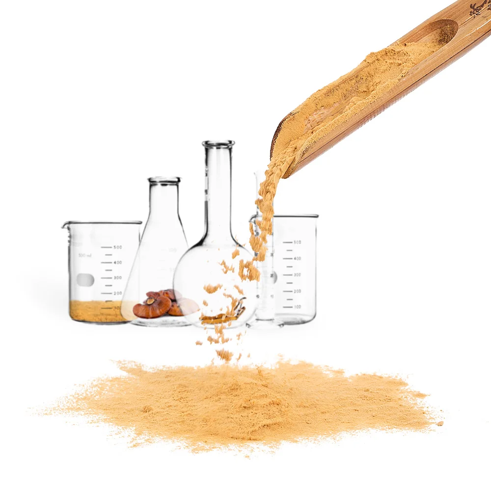 Заводское питание оптом красный гриб Рейши Lingzhi ganoderma lucidum кофейная добавка для здоровья