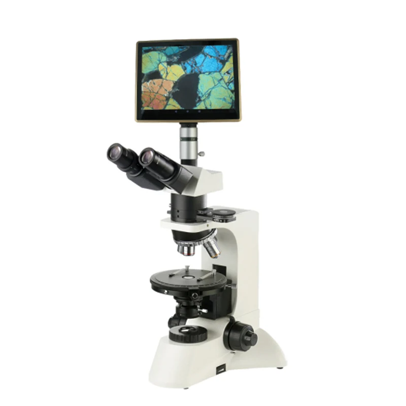 Polarizing microscope BM-60XCP (tablet computer  Transreflection)