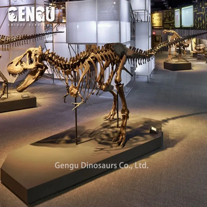 Sculpture dinosaur stone carving dinosaur fossil bones for sale