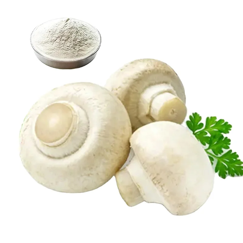 100% Natural  Food Grade Vegan Agaricus bisporus chitosan  Mushroom Chitosan Powder raw materials all spec wholesale