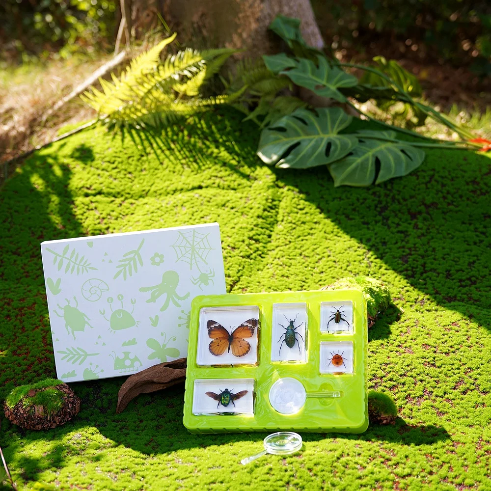Детские игрушки-насекомые, Обучающие научные коллекционные насекомые, Обучающие ресурсы, подарки на день рождения для детей, настоящего насекомых таксидермия