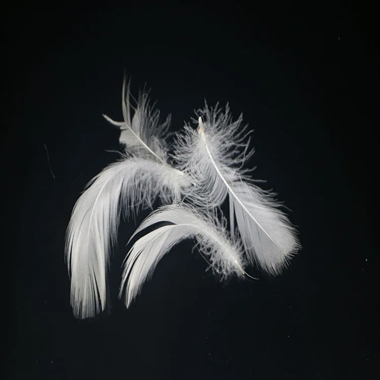 wholesale washed 2-4cm 4-6 cm 2-6 cm natural white duck feather filling material