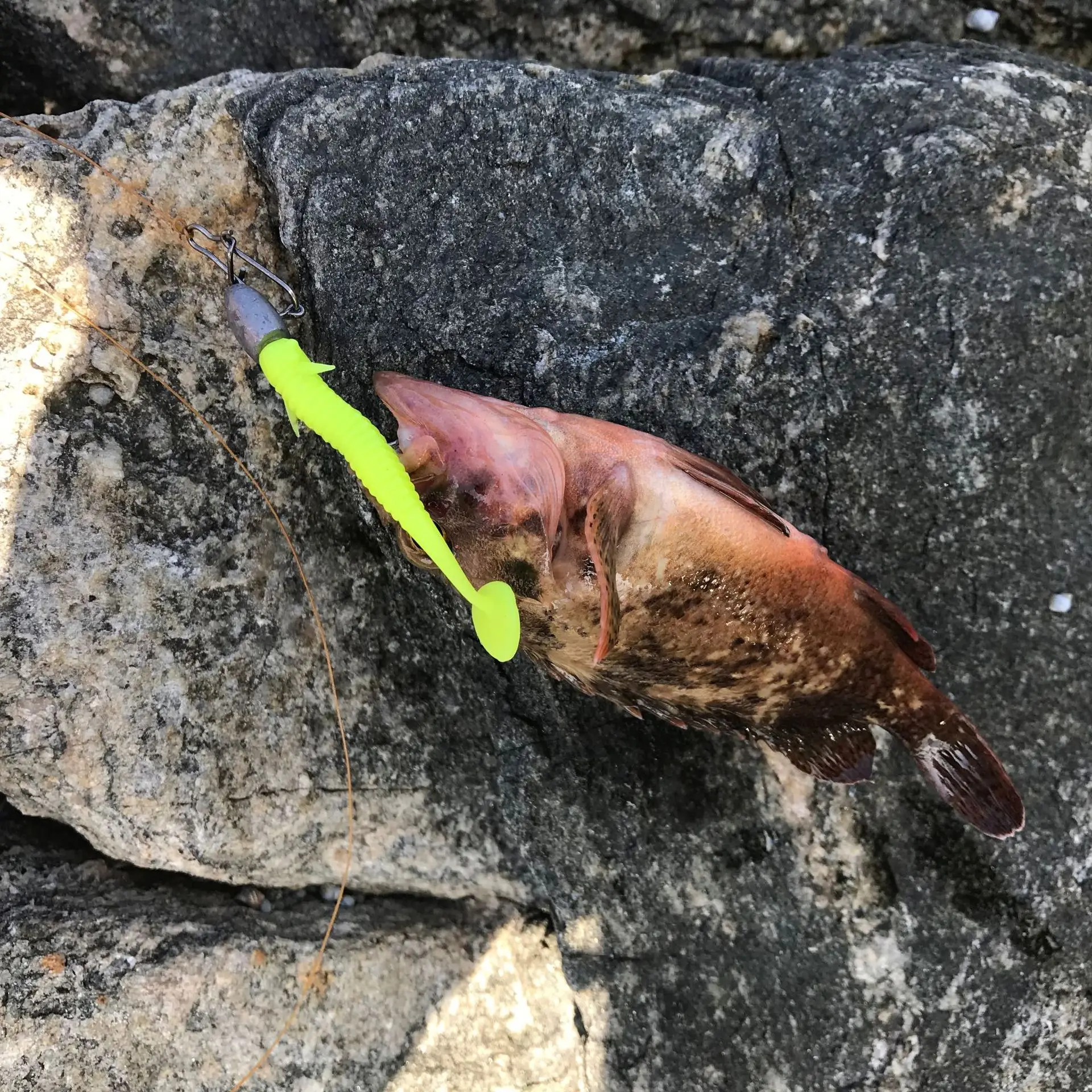 6Pcs/bag T-tail Fly Fish Soft Lure 5cm/1g & 7.5cm/2g Freshwater Slipper Bass Mandarin Fish Bionic Fishbait