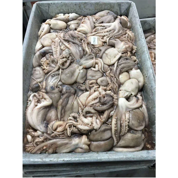 Hot Sale Attractive Price High Quality Big Frozen Octopus
