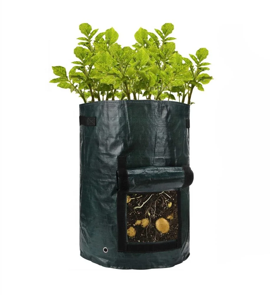 
Wholesale cheap garden tree planting nursery felt planting bagnursery plant grow bag 