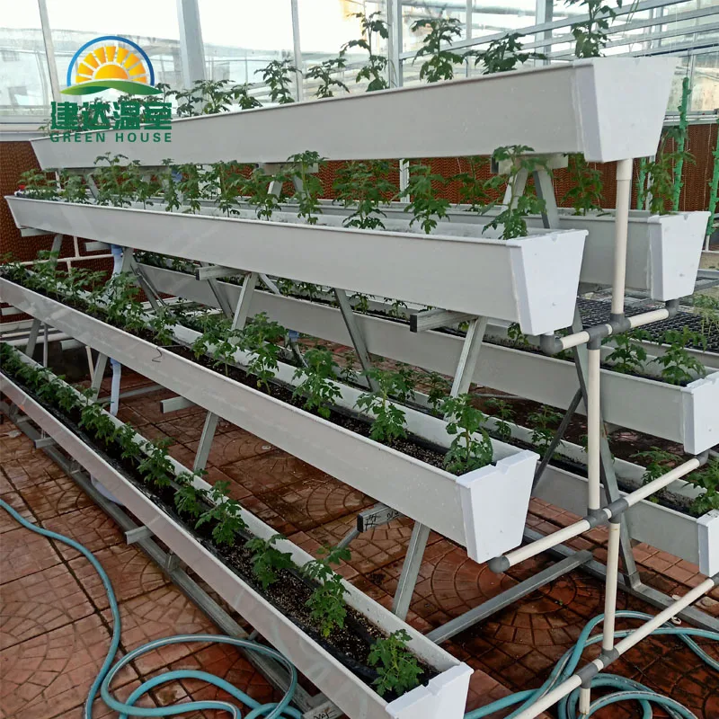 SUNSGH Made in China Greenhouse Agricultural Agriculture Product Production Green House