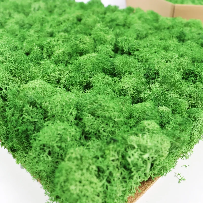 wholesale preserved flowers and plants natural real moss wall art green stabilized reindeer preserved moss wall for decor