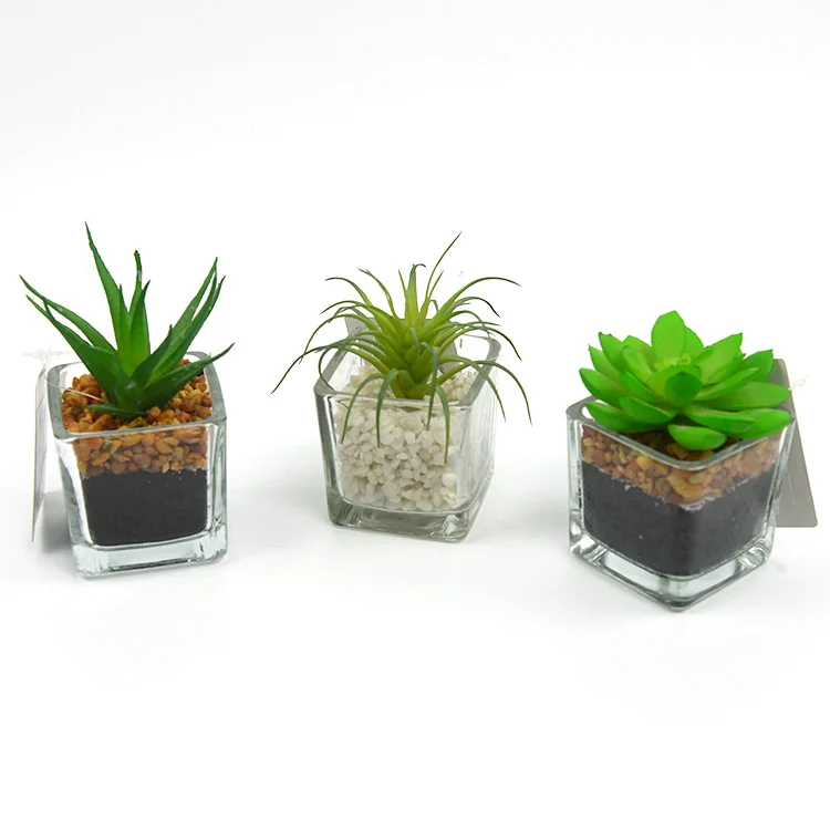 Home office decor glass transparent artificial mini succulents plants for sale