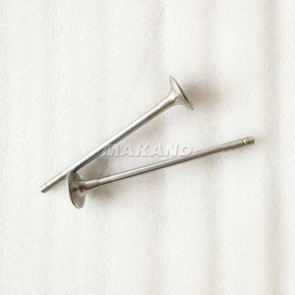 ISM11 QSM11 Machinery Engine Parts Engine Valves Intake And Exhaust Valves 3804534 3800637 3417779/3417778 4926069 4955239
