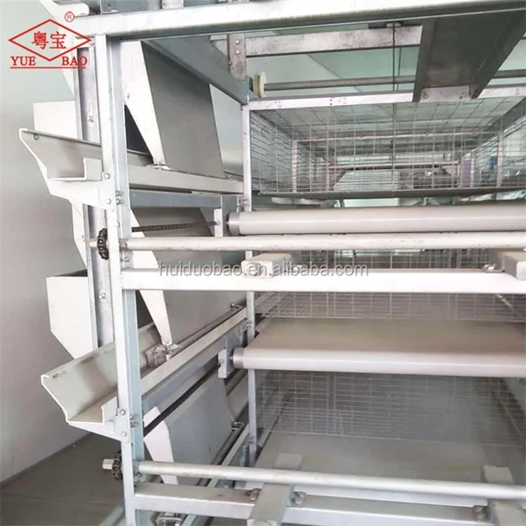 Livestock chicken poultry manure belt conveyor for chicken farm