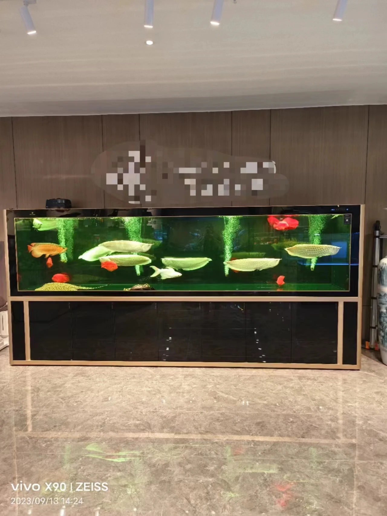 6 feet to 10 feet Length Fish Tank Height 3 feet with sump filter cabinet LED light Cleair Aquatics Ultra Clear Glass Aquarium