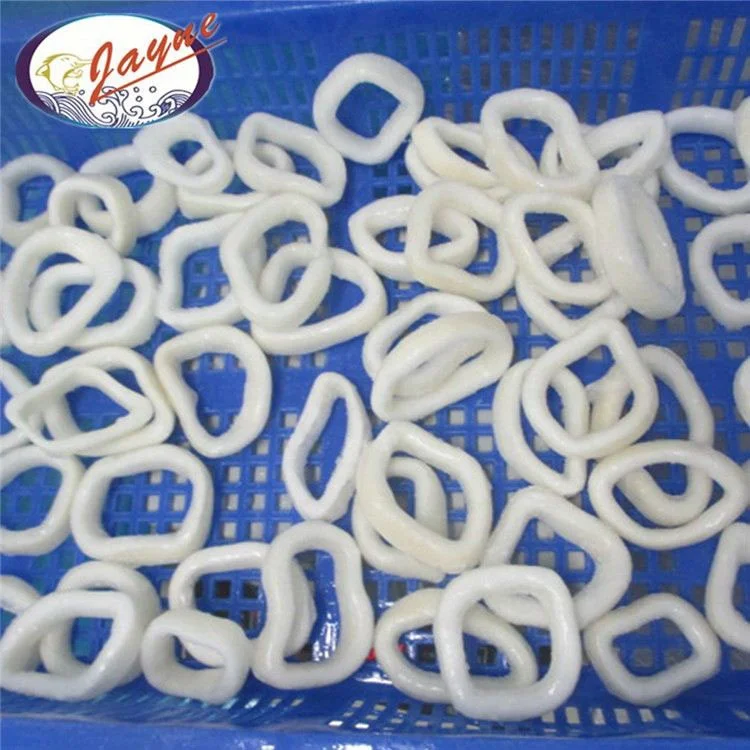 Top Quality Frozen Squid Calamari Ring Frozen Illex Squid Ring Calamari Squid Rings