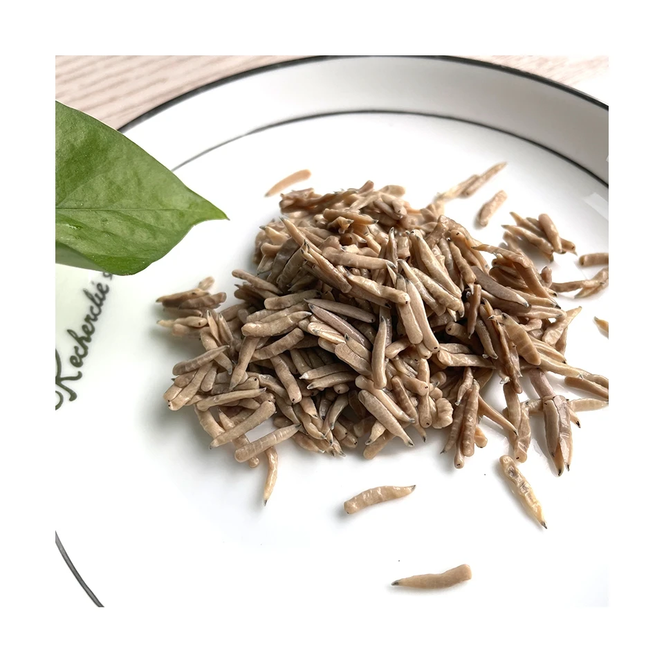 Личинки с высоким содержанием белка, органические насекомые, рисовые черви, съедобные насекомые, экологически свежий рисовый червь