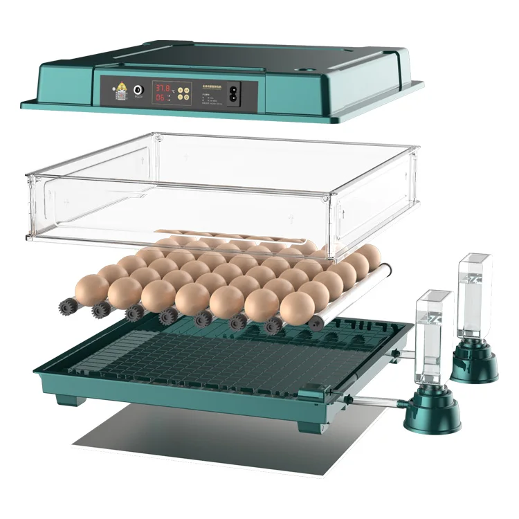 Mini 20 Egg Hatching Machine Automatic Chicken Egg Incubator For Sale