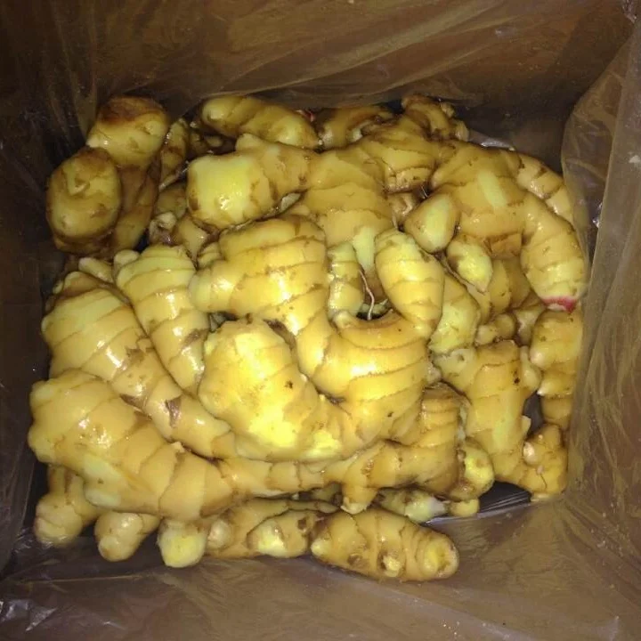 
Hot Sale 2020 China/Chinese New Crop Fresh Ginger in Good Taste 