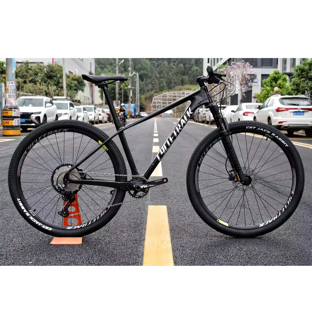 Cycletrack Factory Wholesale COZY 12 Speed Carbon Fibre MTB Bicycle Carbon MTB 29 Inch Mountain Bike