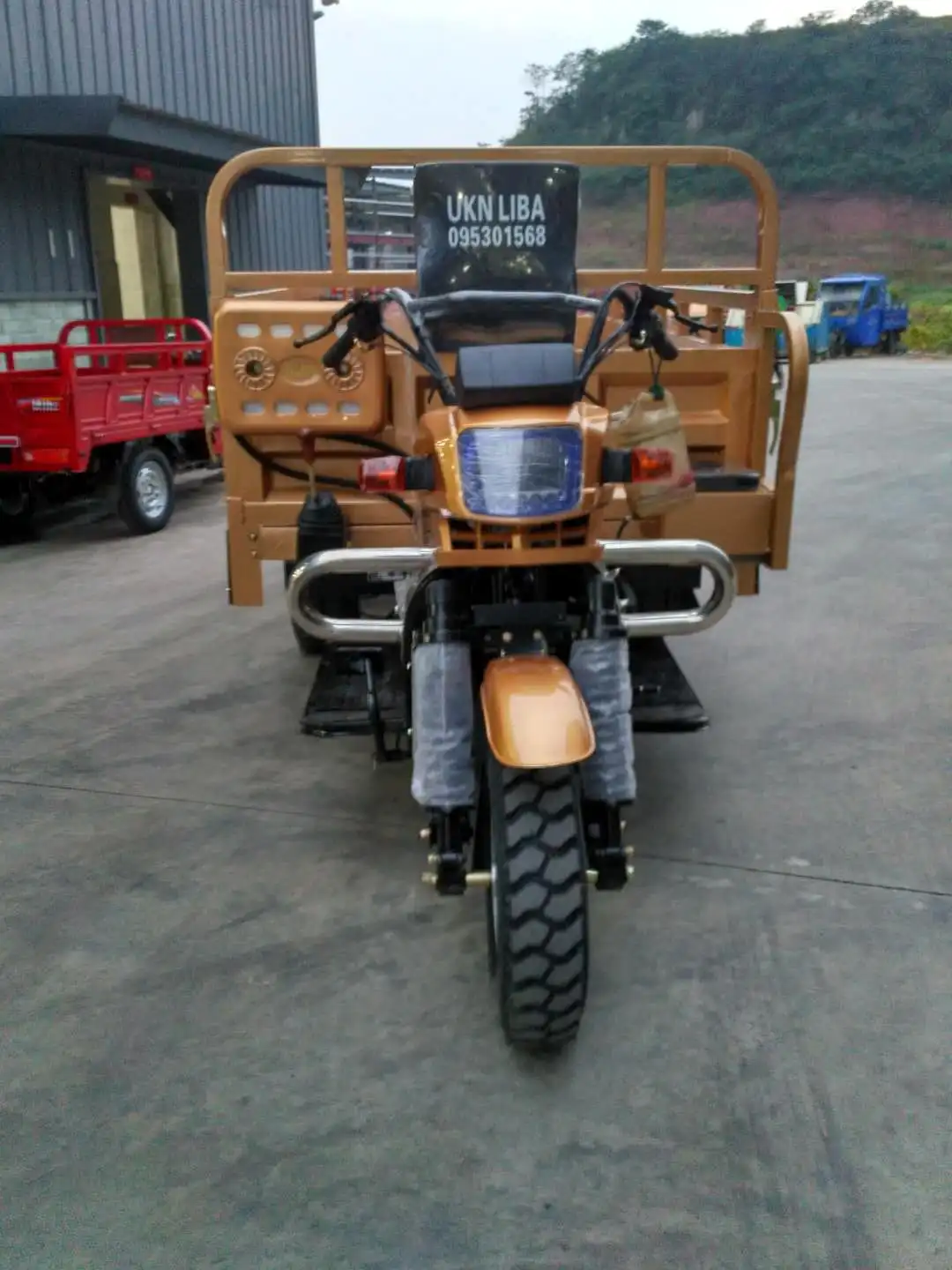 300CC double axle heavy load cargo tricycle/three wheel motorcycle
