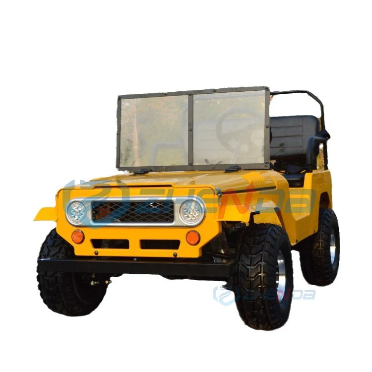 Jeep 250cc High Performance Cute Adult jeep Cart Petrol 2 Passenger Buggy