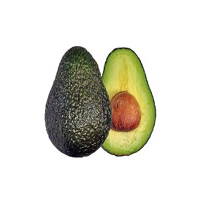 Healthy Fresh Premium Avocado From Mexico - High Quality, Best Price, Directly From Producers