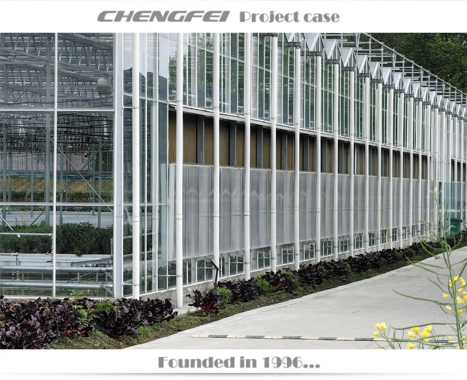 Multi-span agricultural venlo large flower vegetable glass agricultural greenhouse Frame supplier for sale