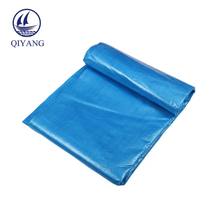 Waterproof Transparent Clear Mesh Tarp Tent Plastic Tarpaulin Roll Sheet