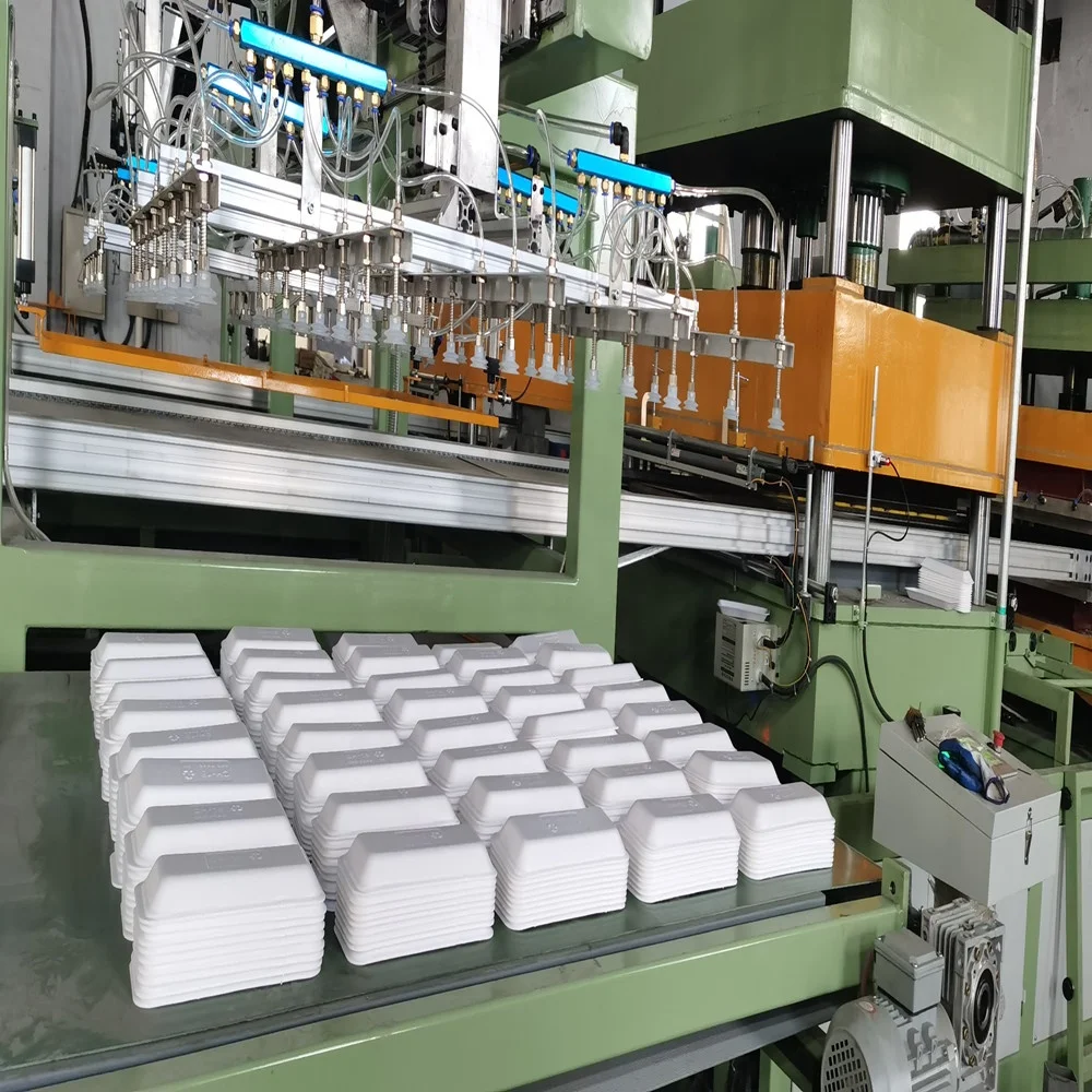 plastic foam  thermoforming machine making  containers for food