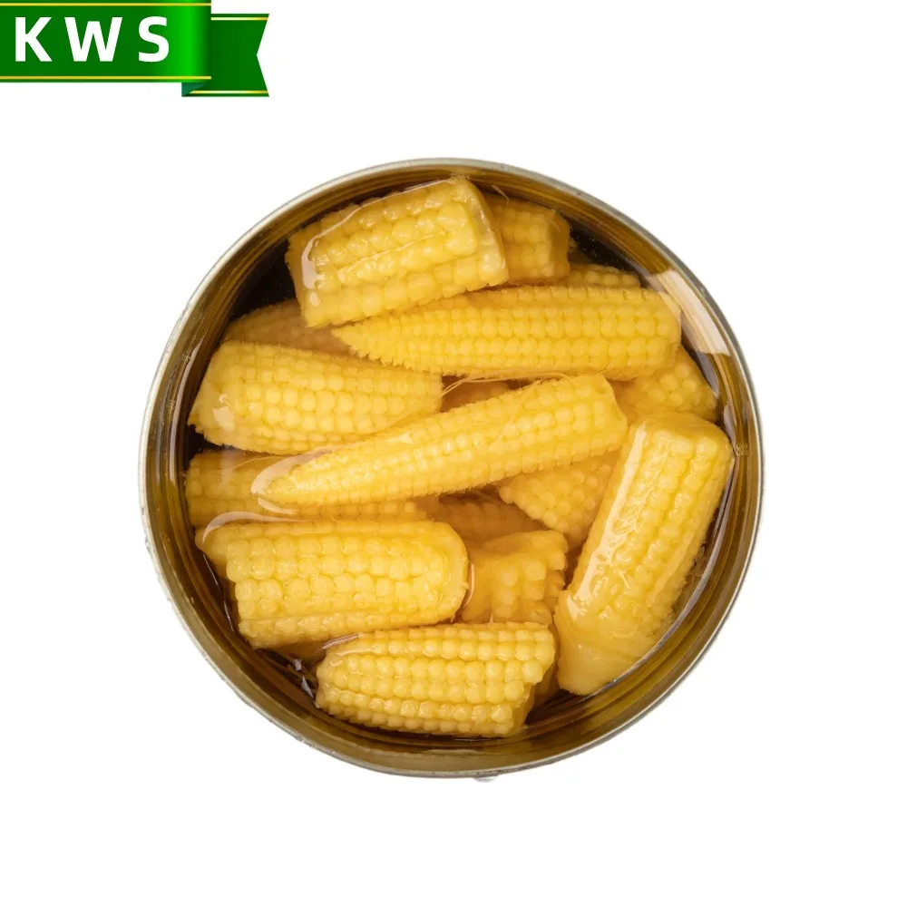 KWS Best price canned baby corn young corn in water