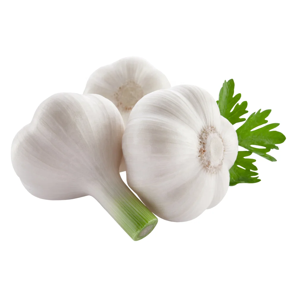 2023 Fresh Chinese peeled Garlic Cloves with long life 1kg vacuum bag for Australia market