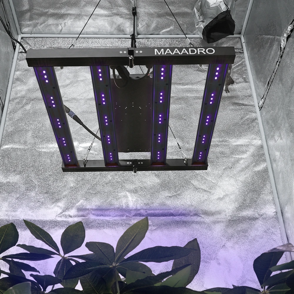 Maaadro Thailand Hot Sale Plant Led Grow Light Bar Foldable Full Spectrum Samsung Lm281b Lm301b 240w 320w 480w 650w 700w
