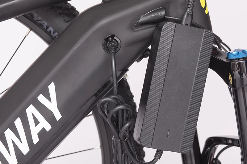 45 km/h city ebike fat tire 750w ebike cargo e bikes mopeds