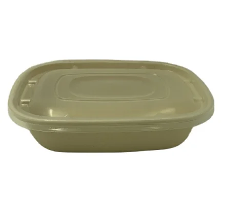 Eco Friendly Takeaway Fruit Meat Cake Food Tray Sugarcane Bagasse Lunch Box With Lid Biodegradable Bagasse Tray