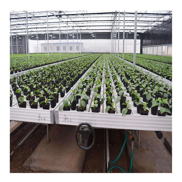 Commercial Rolling Benches Growing Ebb and Flow Hydroponics Benches and frame seedbed