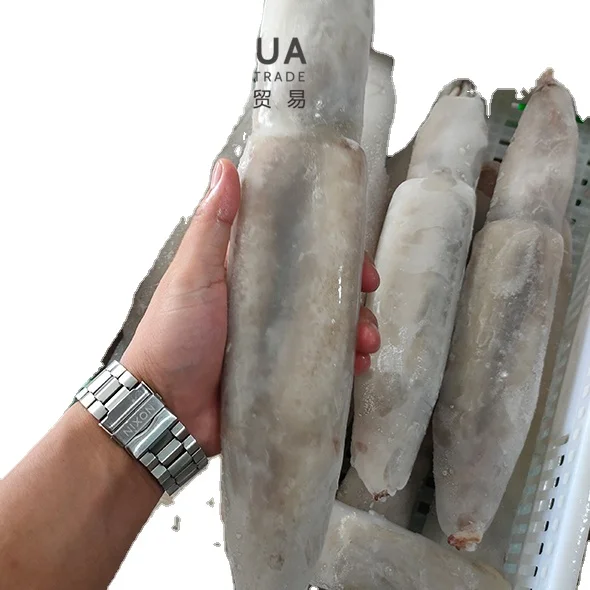 Северотихоокеанский кальмар IQF замороженные тодароды соцификус оптовая