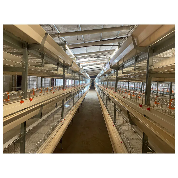 Commercial Farming Poultry Equipment Chicken Farm Broiler Cage H Type Broiler Chicken Cage for Automatic Manure Cleaning