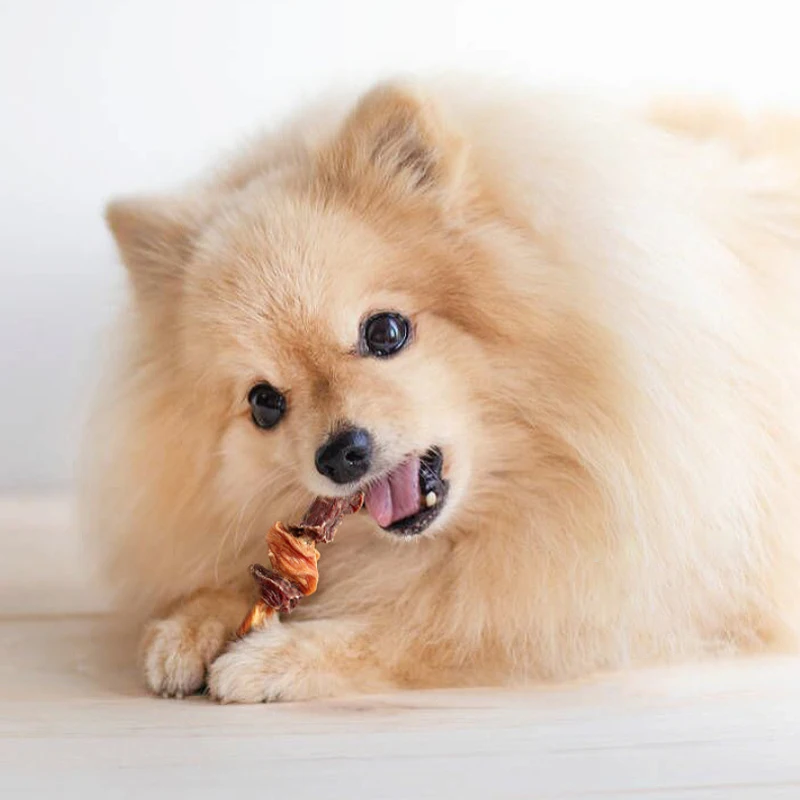 Wholesale High Quality Dog cat Treats and food high protein Low Fat Chicken duck and beef tendon skewers Dried jerky Pet Snacks