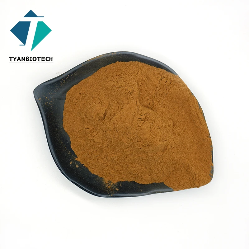 Supply Lovage Extract 30:1 Top Quality Chuanxiong Powder