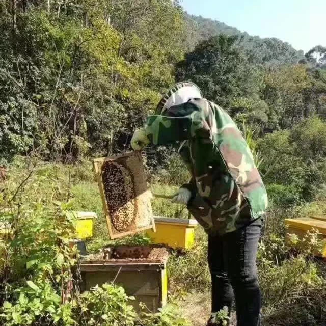 Meifang Food 12 Months Shelf Life Royal Honey Vip Pure Honey Vital High Quality From China