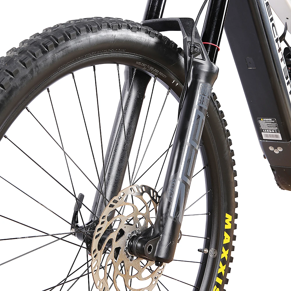 2024 New Arrivals leichten EMTB Carbon frame 250w/500w downhill full suspension electric mountain bike