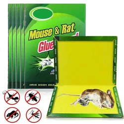 Insect Sticky Mouse Board Efficient Rodent Control Rat Snake Adhesive Non Toxic Environmental Protection Moue Glue Trap