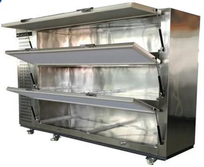201 304 Stainless Steel Mortuary Freezer Side Door Open for Sale