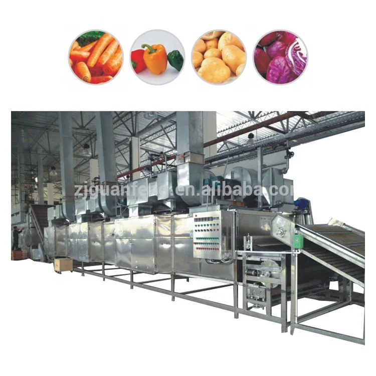Hot sale vegetables and fruits dehydrator mango drying machine food processing machinery