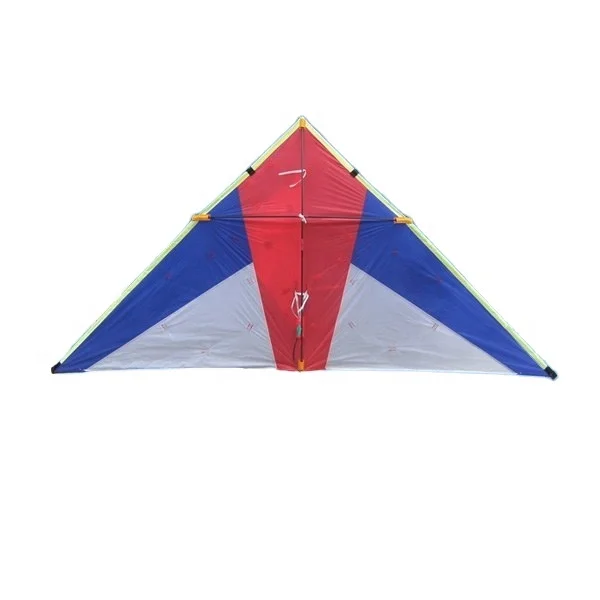 Chinese nylon led light kite from the kite factory