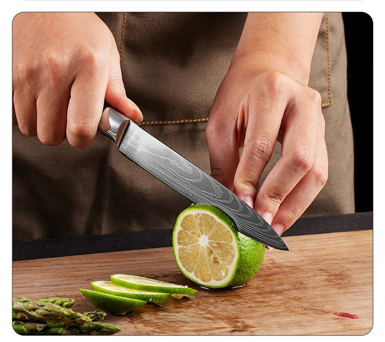 10 pcs Laser Damascus Pattern 3cr13 Stainless Steel Kitchen knife set Chef Knife