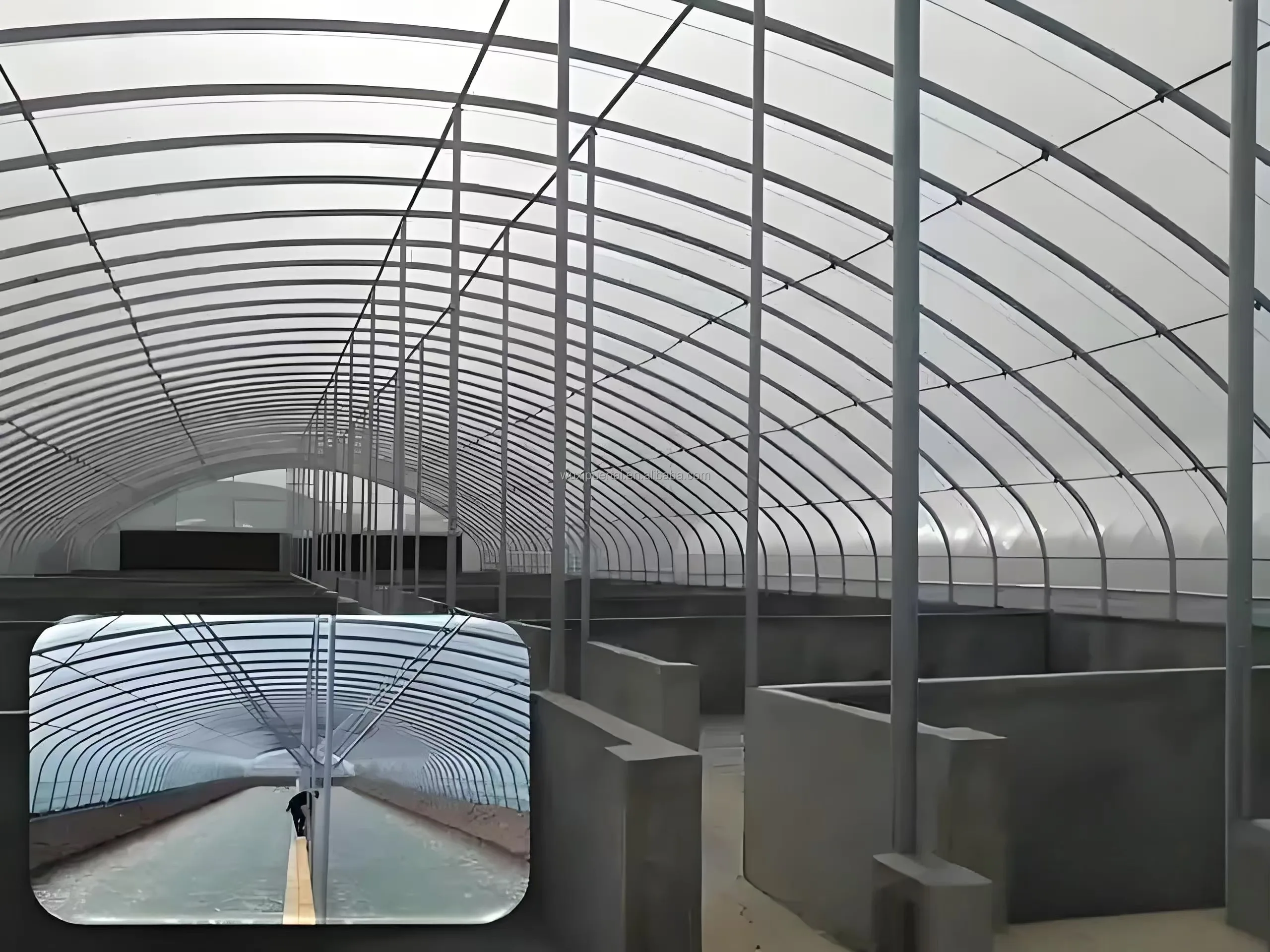 Large Greenhouse Plant Breeding Hydroponic Design Durable PVC Steel PE Materials Low Cost Single Double Layer Plastic Film Cover
