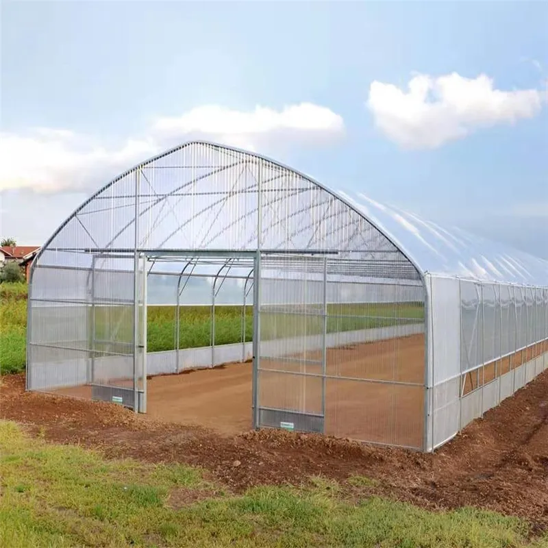 Single-span agricultural plastic products greenhouse manufacturers film tunnel greenhouse hydroponic green houses