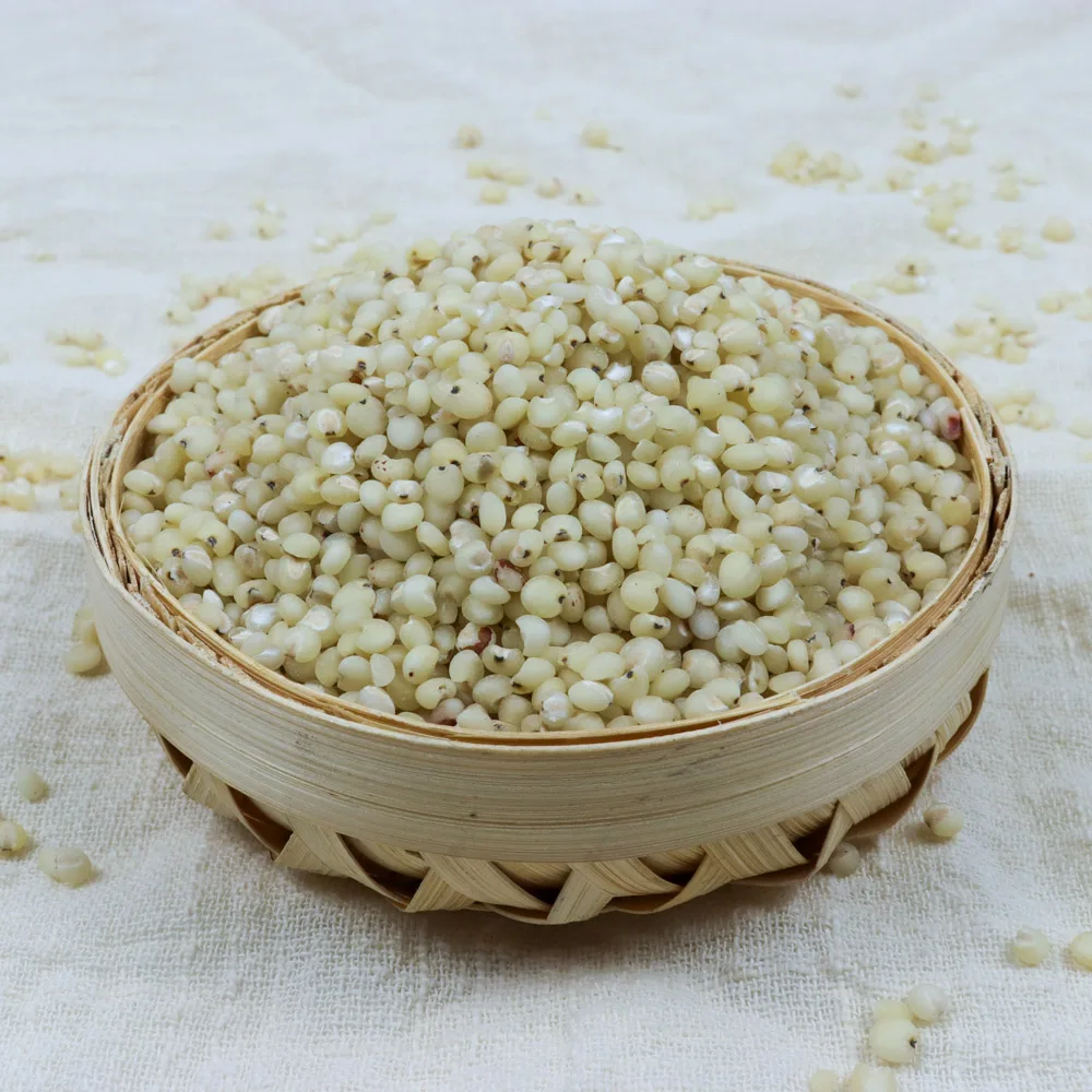 
 Китайский белый сорго для еды и корма для птиц  