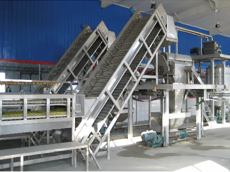 mango juice production line/Mango processing plant